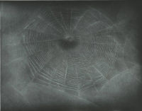 Untitled (Web 3) 5