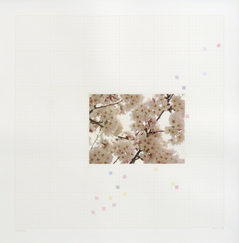 Sakura Chart #0.01 - Art by Darren Almond