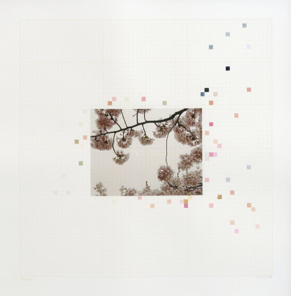 Grafico Sakura #0.09 - Art di Darren Almond