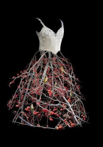 Untitled (Berry Dress), 2009 - Photograph by Todd Murphy