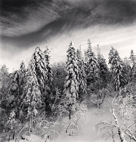 Michael Kenna Black and White Photograph - Snow Clad Trees, Heilongjiang, China, 2012