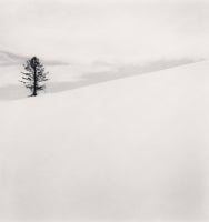One Tree, Nakafurano, Hokkaido, Japan, 2012