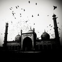 Mosque and Birds - India