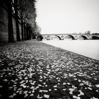 Pont Neuf II - Paris, France