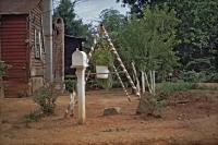 Used Mailbox and Swing of House with Flowers, near Morgan Springs, Alabama 1984