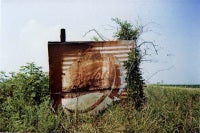 Pepsi Cola Sign in Landscape- Near Uniontown, Alabama, 1978