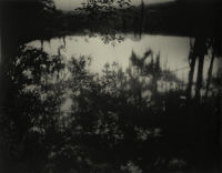 Avery Island, from the series Deep South, 1998
