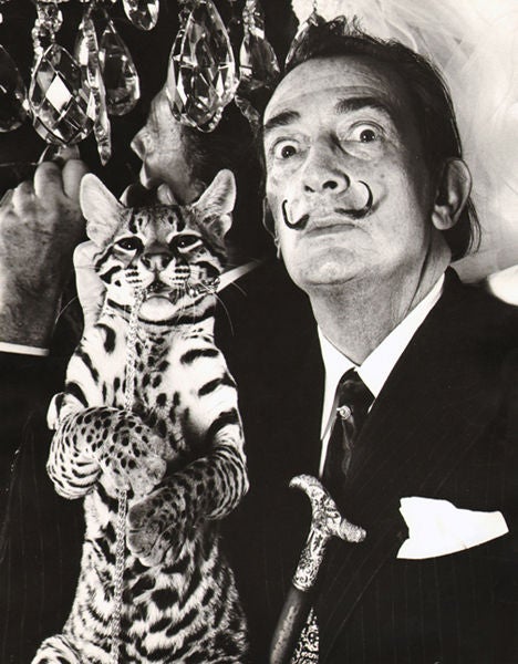 Portrait Photograph Edward Pfizenmaier - Salvador Dali, 1964