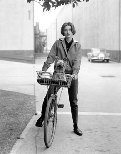 Sid Avery Black and White Photograph - Audrey Hepburn; On her Bike with Her Famous Dog at Paramount Studios, 1957