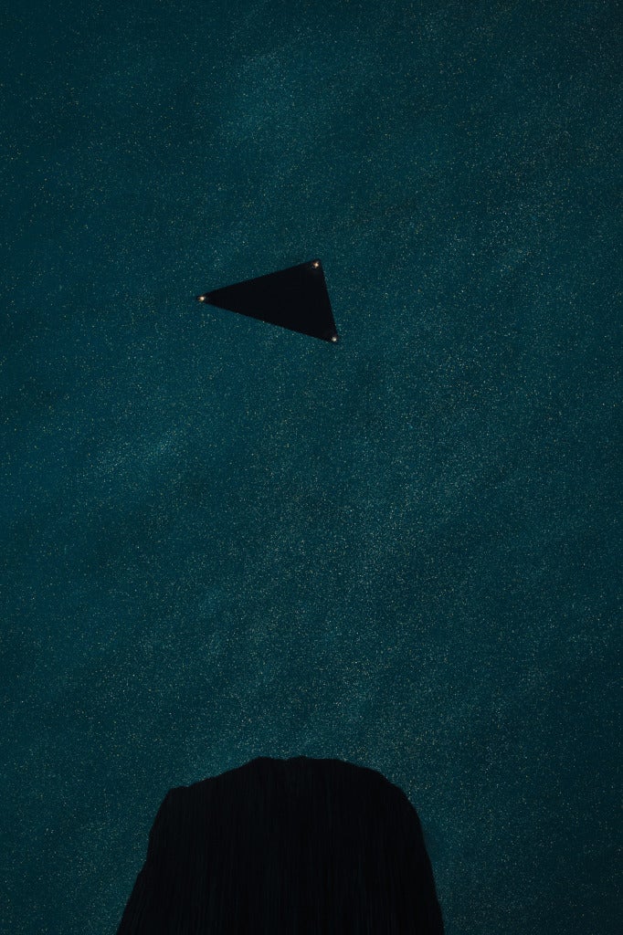 Painting for Budd Hopkins