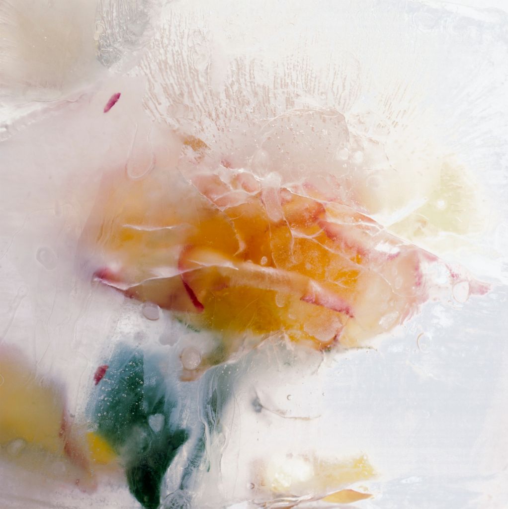 Crystal Liu Color Photograph - Give us our Dreams: Part One, Rose One