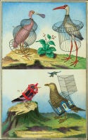 Caged Birds