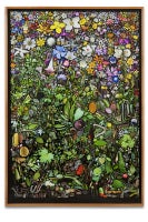 Plant Collection Palette #1