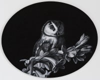 On the Flower Stem (after van Huysum)