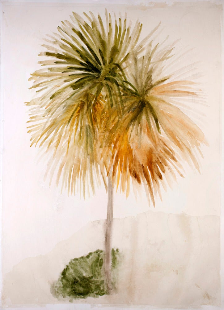 Lourdes Sanchez Still-Life Painting - palma, Yucatan