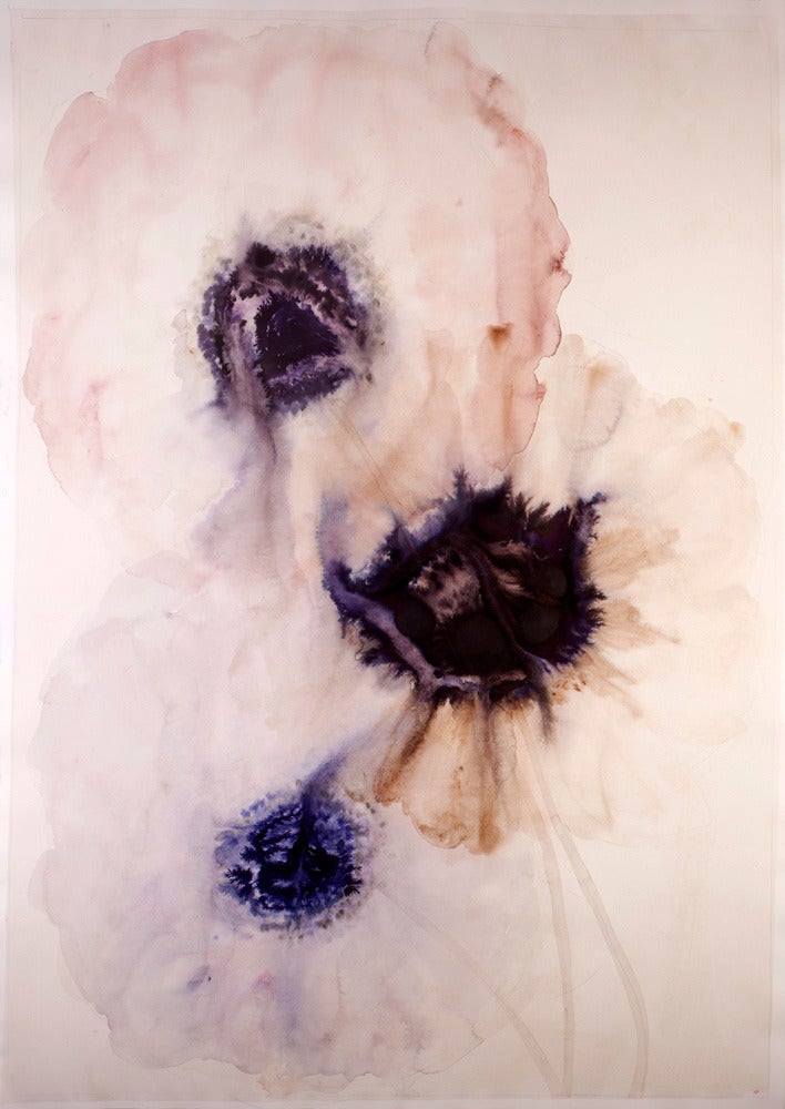 3 anemones #2 - Painting by Lourdes Sanchez
