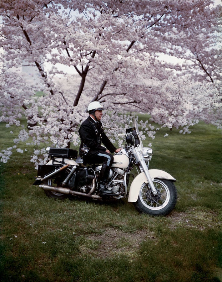 Evelyn Hofer Color Photograph - Springtime, Washington