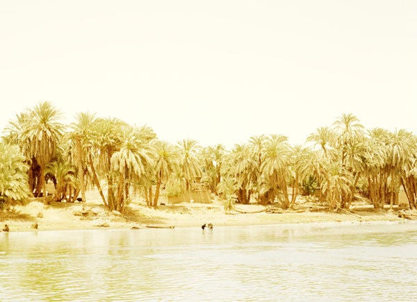 Elger Esser Landscape Photograph - Armant II, Egypt 2011