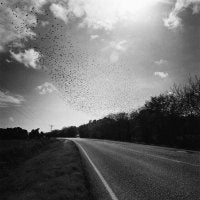 Highway 82: From Abbeyville to Intracoastal City, Louisiana, from the series Flatlands