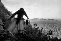 Mujer Angel, Sonora Desert