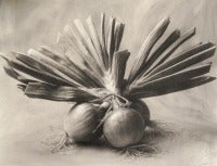 Three Asian Onions, 1995
