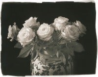 Sunday Morning Roses, 2013