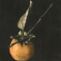 Brigitte Carnochan - Fuji Persimmon Fuji Persimmon