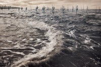 Sri Lanka. Dalawella Village. Stilt Fishermen.