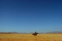 Lone rider, Texas, 1974