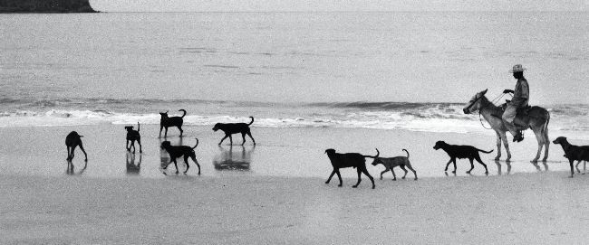 Manuel Carrillo Black and White Photograph - Untitled, n.d.