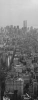 From the Empire State Building, New York