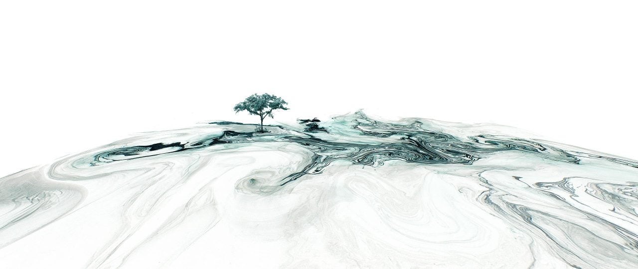 Van Chu Landscape Photograph - Mushrooms and Trees 9