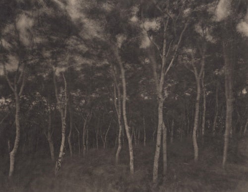 Landscape Photograph Takeshi Shikama - Shimamaki, 2011