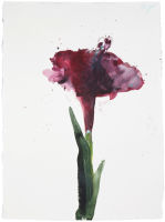Notes de jardin:: fleur #1:: Itri
