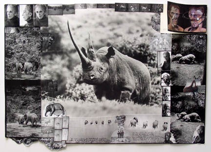 Peter Beard (Photographer) Black and White Photograph - Untitled (47" Rhino), 1961/2003