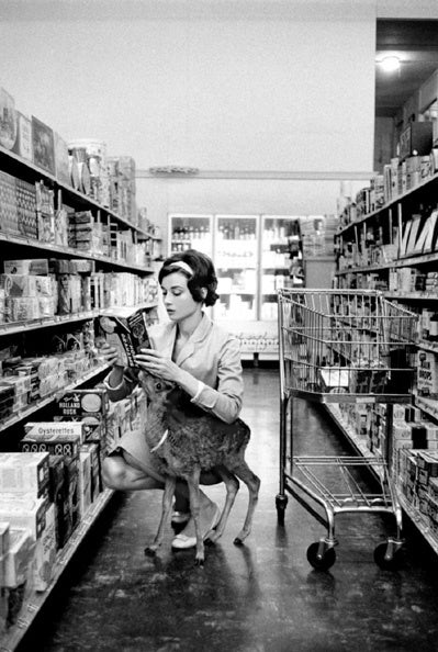 Bob Willoughby Black and White Photograph - Audrey Hepburn at the Market with Ip the Deer, 1958