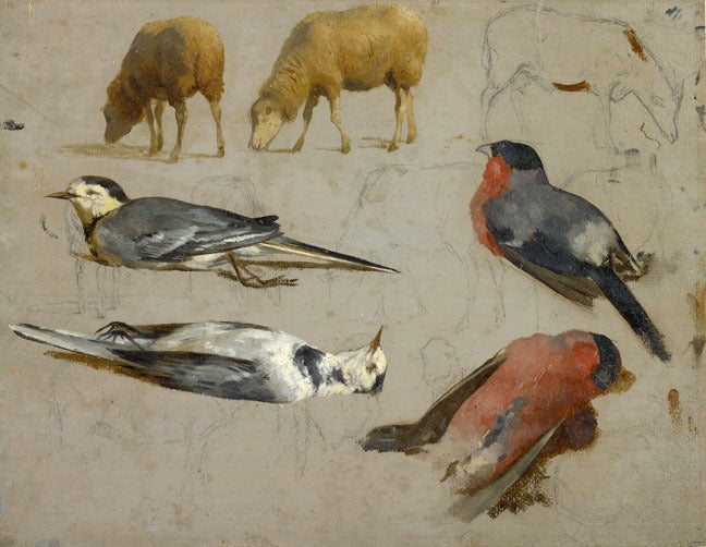 Animal Painting Rosa Bonheur - Études d'oiseaux et de moutons