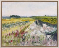 Summer Flower Fields