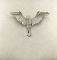 On the Wing