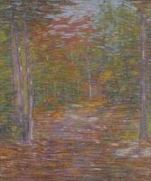 Evening in the Southern Pines