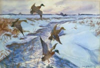 Ducks in Flight (Winter in the Marshes)