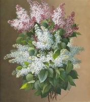 Lilacs