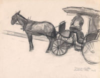 Used Horse and Buggy