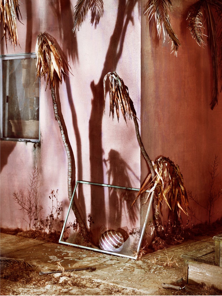 Jeff Bark Color Photograph - Dirty Bird