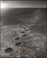 Elephant Footprints, Amboseli