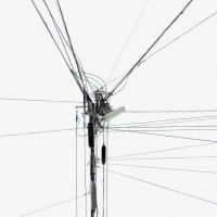 Poles 19