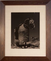 Bull-Fighting Horse, Seville, Spain