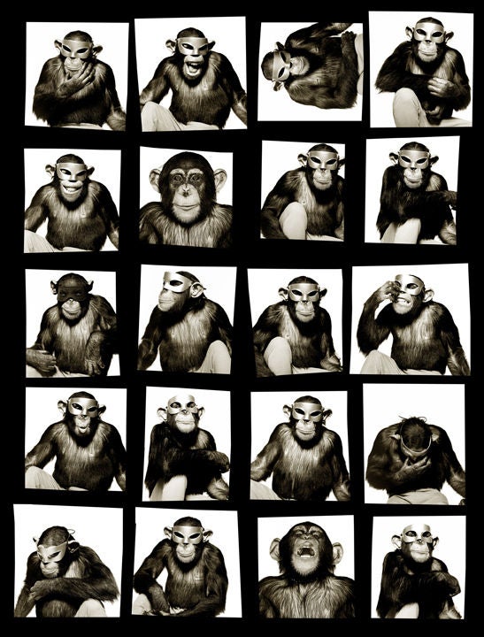 Albert Watson Figurative Photograph - Monkeys with Mask Contact Sheet, New York City