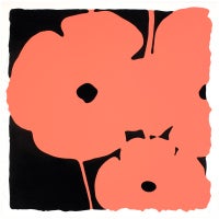 Poppies, June 5, 2011 (Coral)