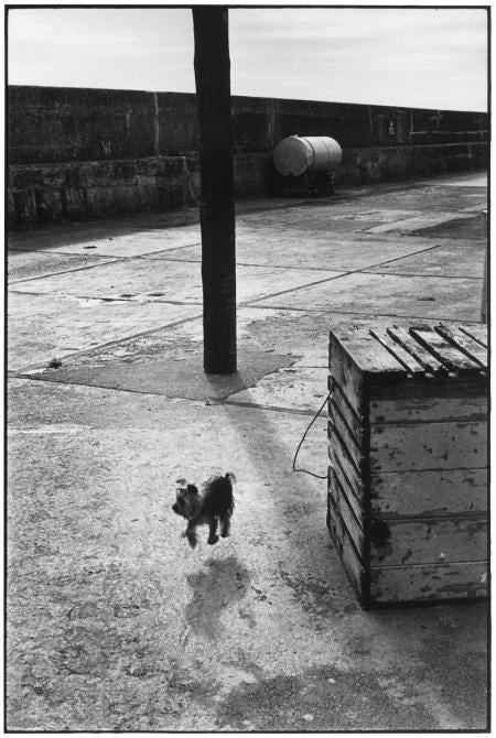 Ballycotton, Ireland, 1968 - Elliott Erwitt (Black and White Photography)
Signed, inscribed with title and dated on accompanying artist’s label
Silver gelatin print, printed later

Available in four sizes:
11 x 14 inches
16 x 20 inches
20 x 24